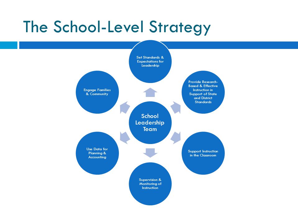 The School-Level Strategy