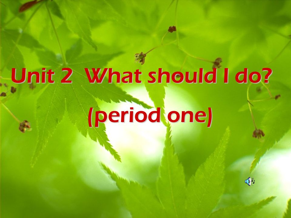 Unit 2 What should I do (period one)