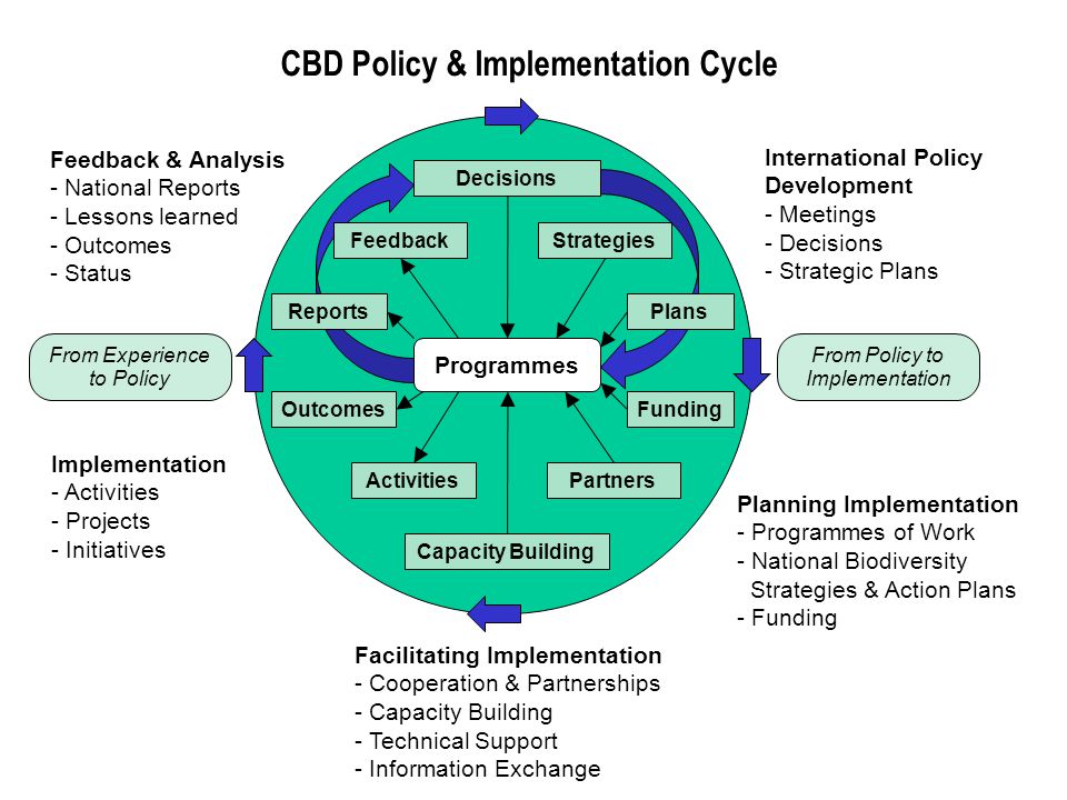 CBD Policy & Implementation Cycle