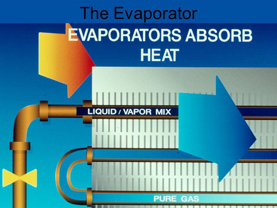 The Evaporator