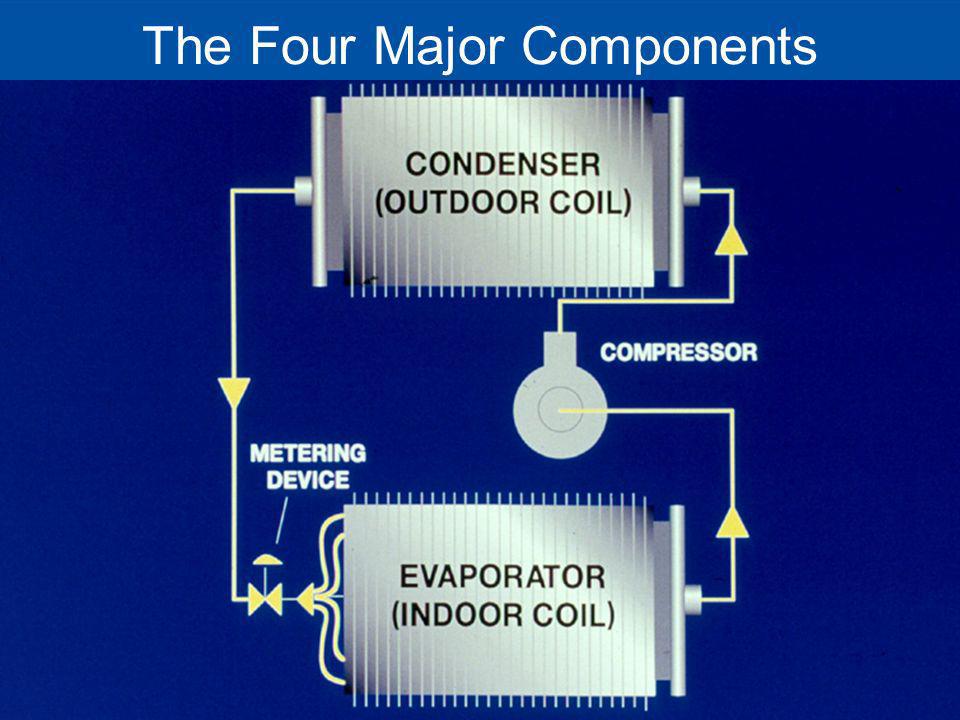 The Four Major Components