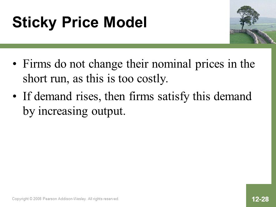 Sticky Price Model Firms do not change their nominal prices in the short run, as this is too costly.