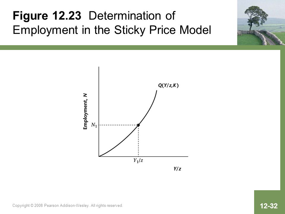 Figure Determination of Employment in the Sticky Price Model