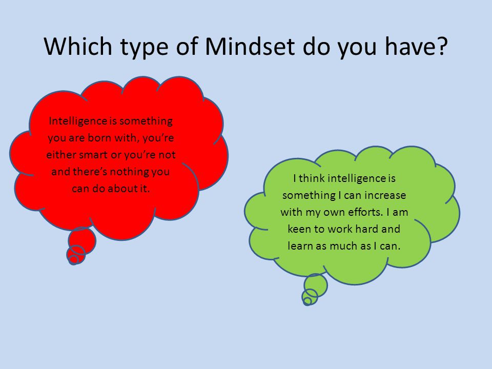Which type of Mindset do you have