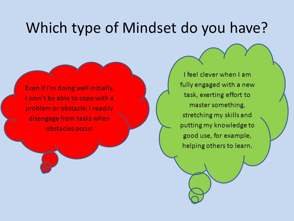 Which type of Mindset do you have