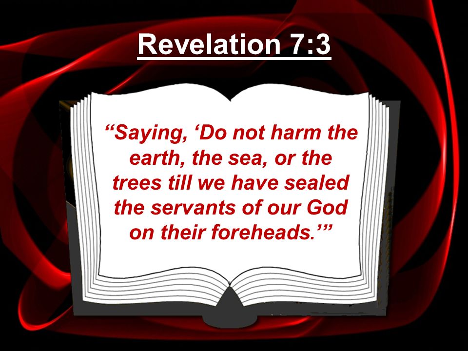 Revelation 7:3 Saying, ‘Do not harm the earth, the sea, or the trees till we have sealed the servants of our God on their foreheads.’
