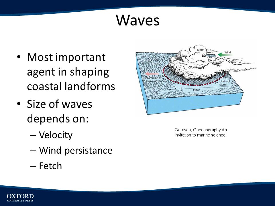 Waves Most important agent in shaping coastal landforms