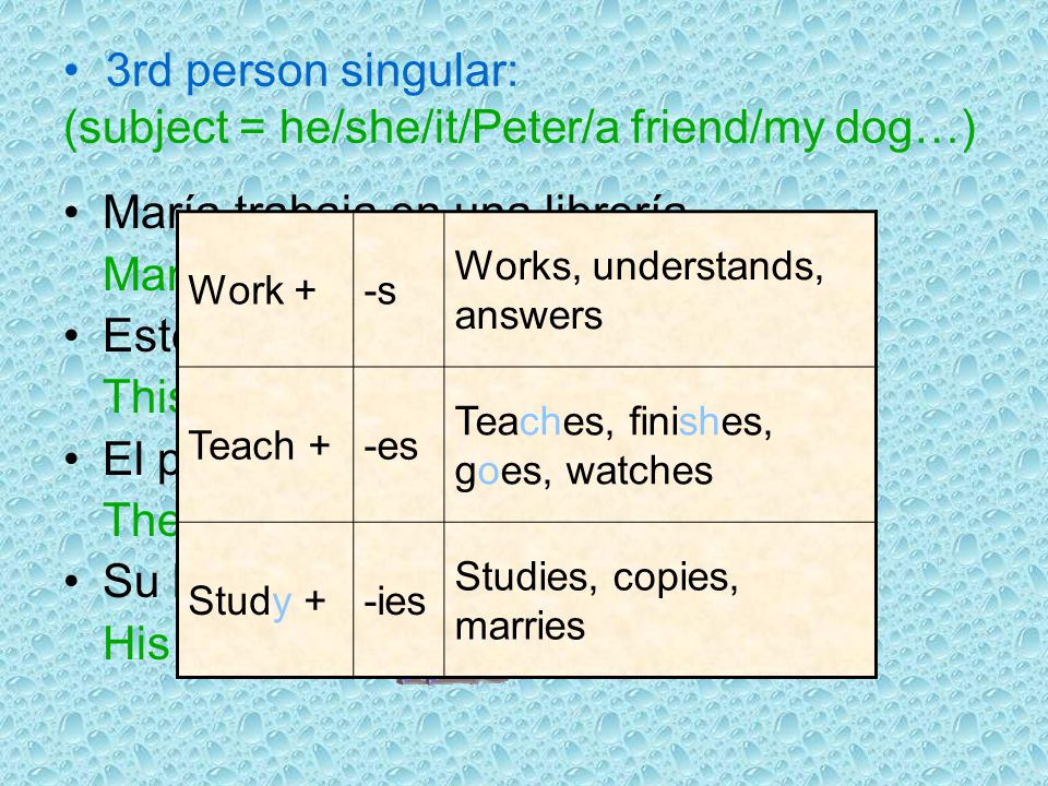 3rd person singular: (subject = he/she/it/Peter/a friend/my dog…)