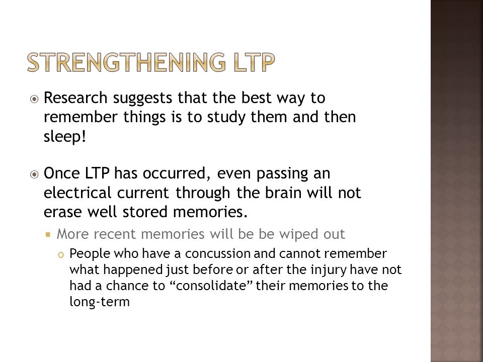 Strengthening Ltp Research suggests that the best way to remember things is to study them and then sleep!