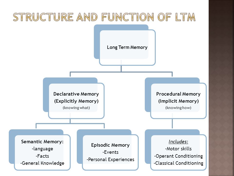 Structure and Function of LTM