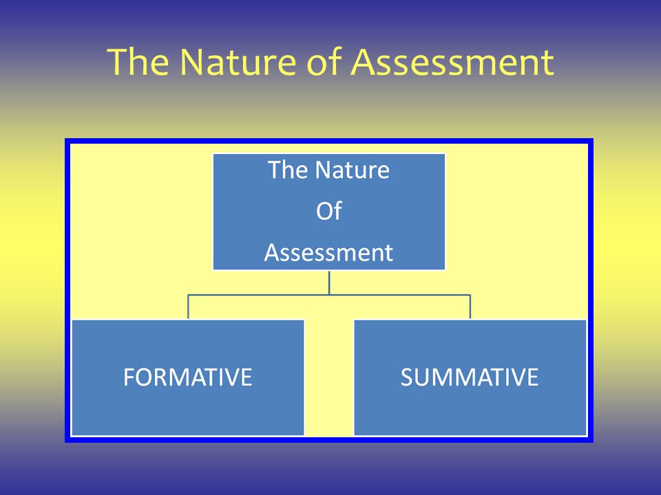 The Nature of Assessment