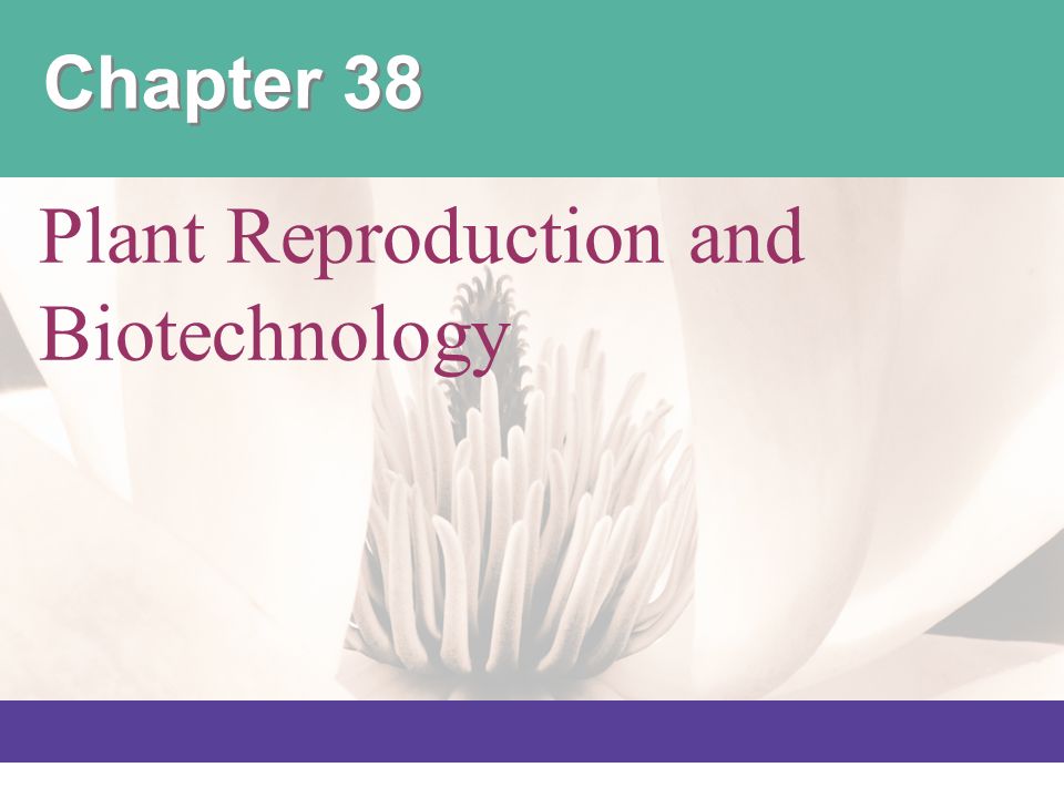 Plant Reproduction and Biotechnology