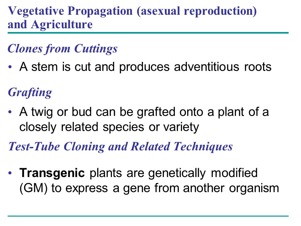 Vegetative Propagation (asexual reproduction) and Agriculture