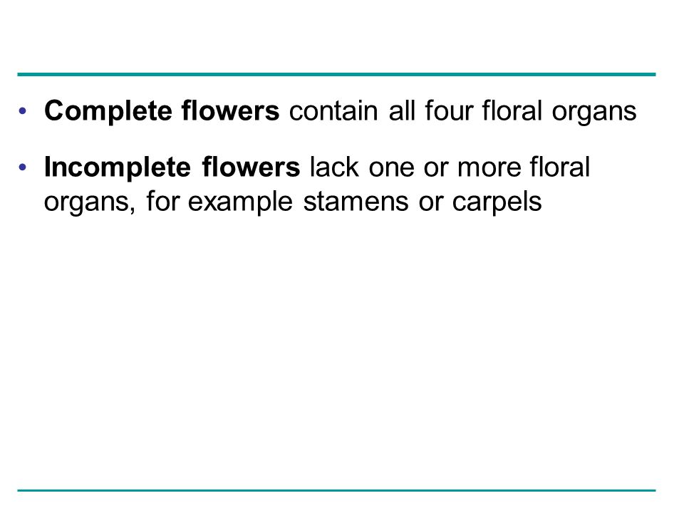 Complete flowers contain all four floral organs