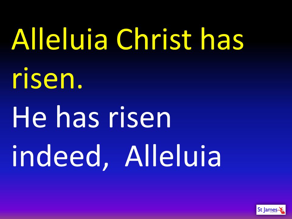 Alleluia Christ has risen.