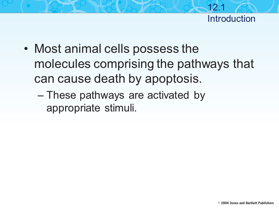 12.1 Introduction Most animal cells possess the molecules comprising the pathways that can cause death by apoptosis.