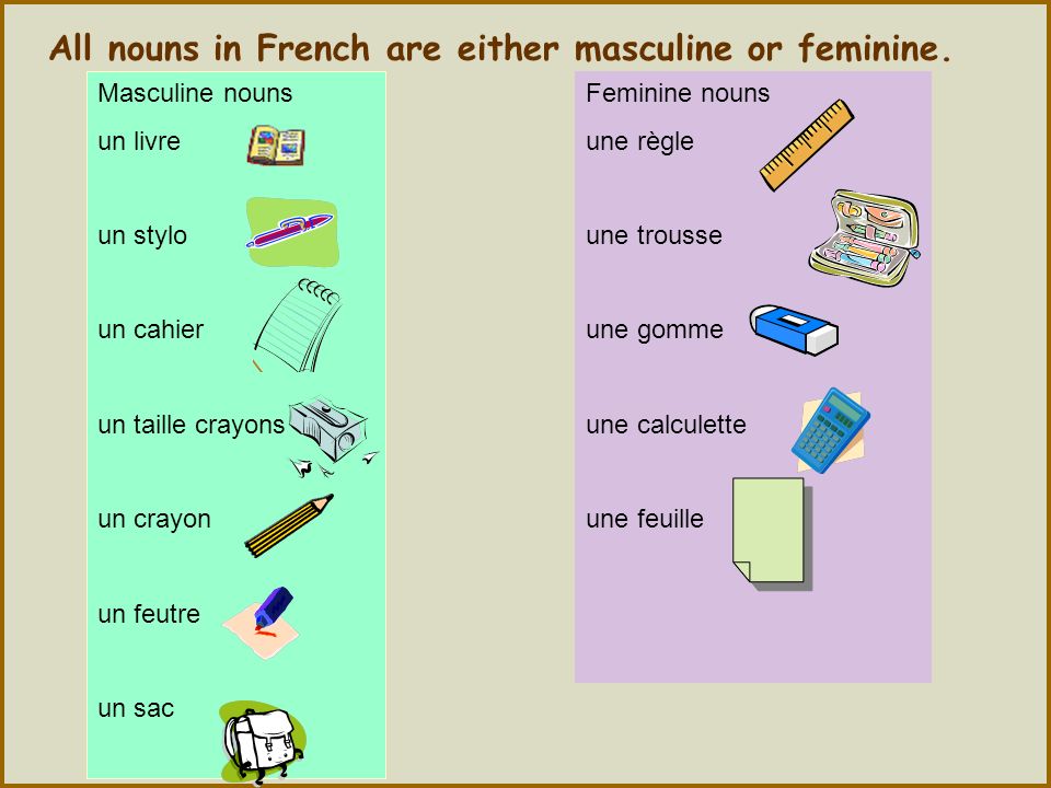 All nouns in French are either masculine or feminine.