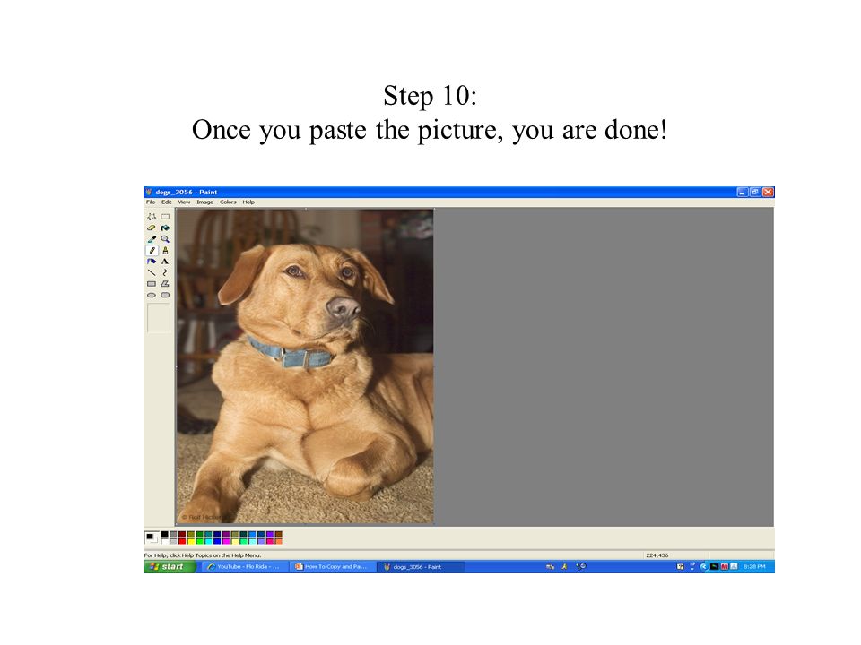 Step 10: Once you paste the picture, you are done!