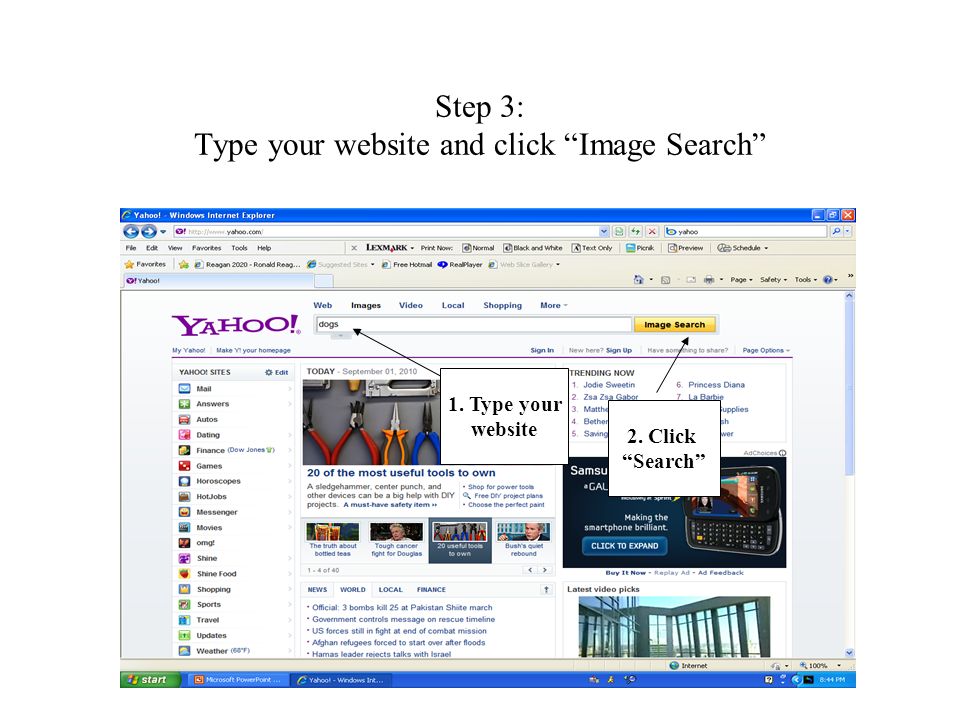 Step 3: Type your website and click Image Search