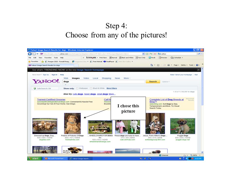 Step 4: Choose from any of the pictures!