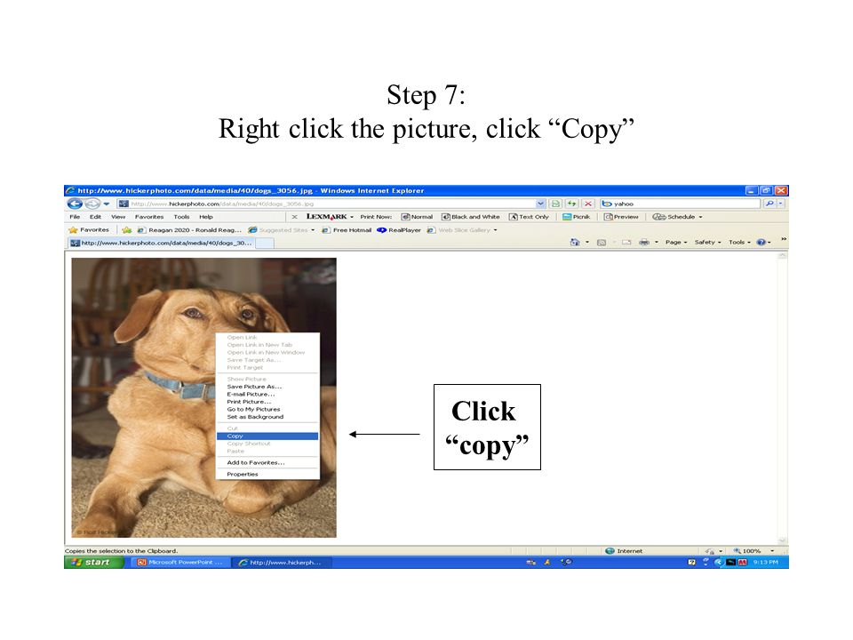 Step 7: Right click the picture, click Copy