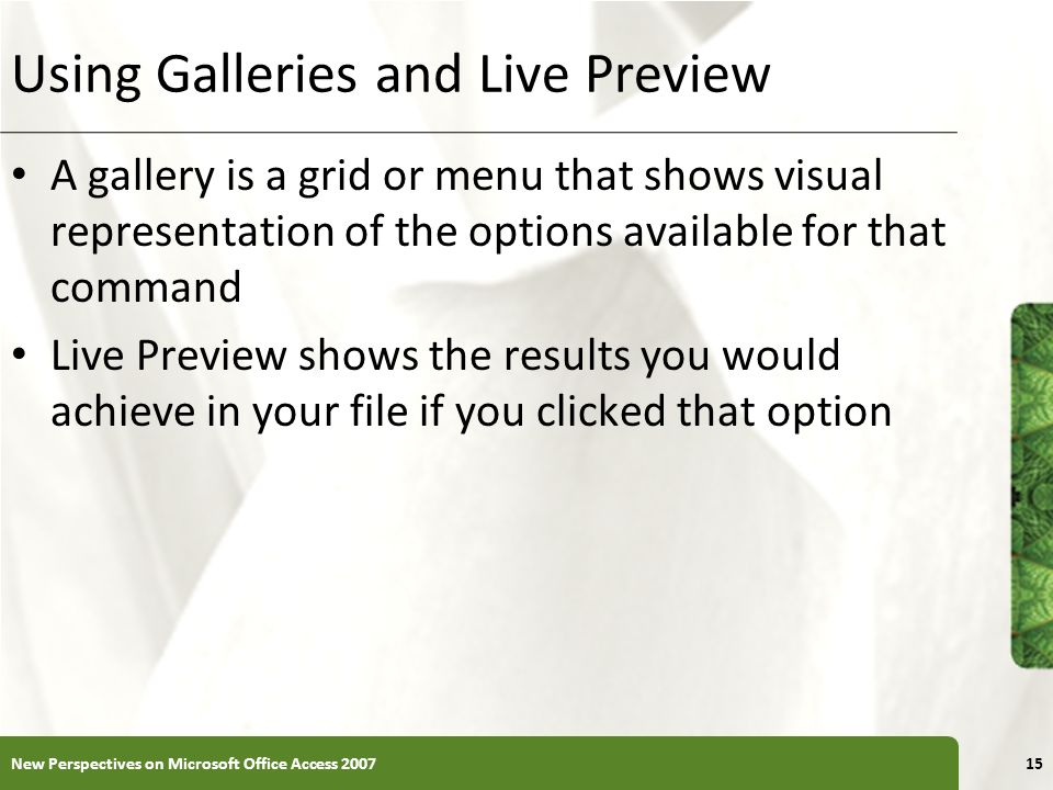 Using Galleries and Live Preview