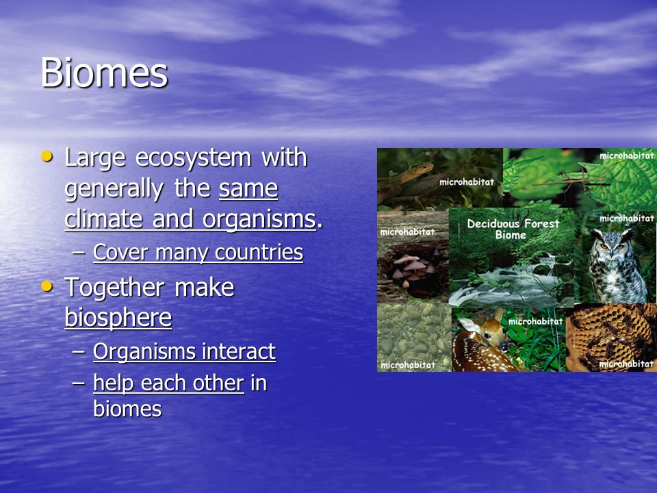 Biomes Large ecosystem with generally the same climate and organisms.