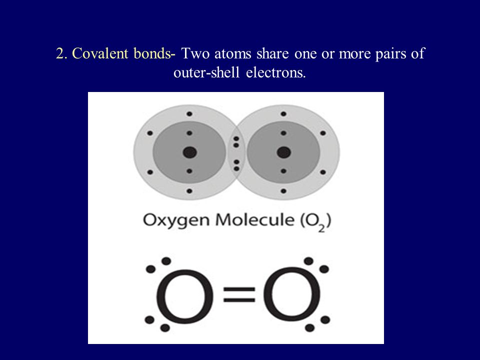 2. Covalent bonds- Two atoms share one or more pairs of outer-shell electrons.