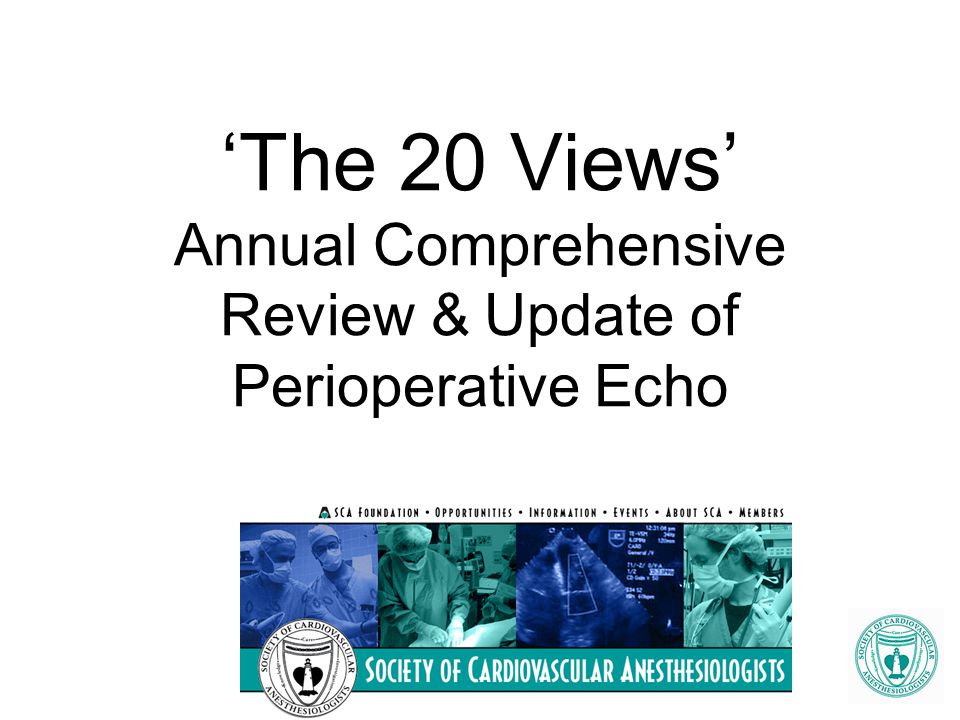‘The 20 Views’ Annual Comprehensive Review & Update of Perioperative Echo