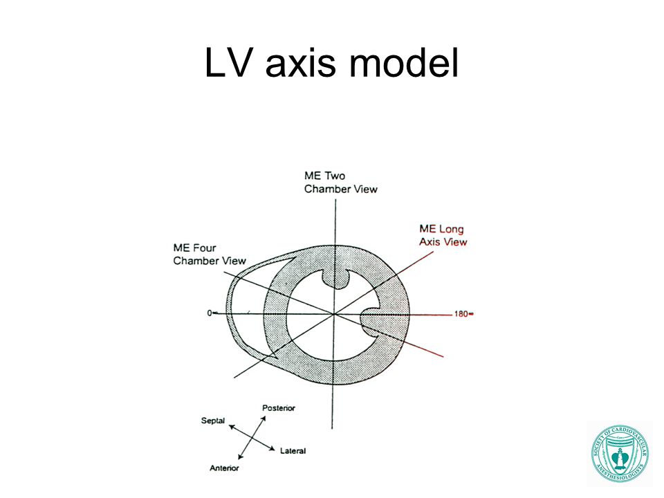 LV axis model