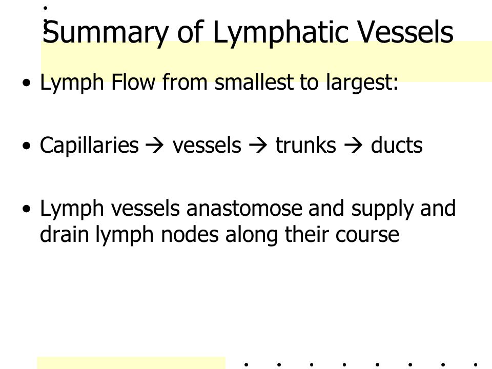 Summary of Lymphatic Vessels