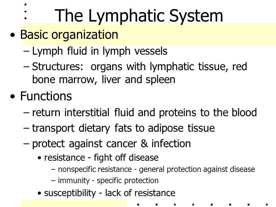 The Lymphatic System Basic organization Functions