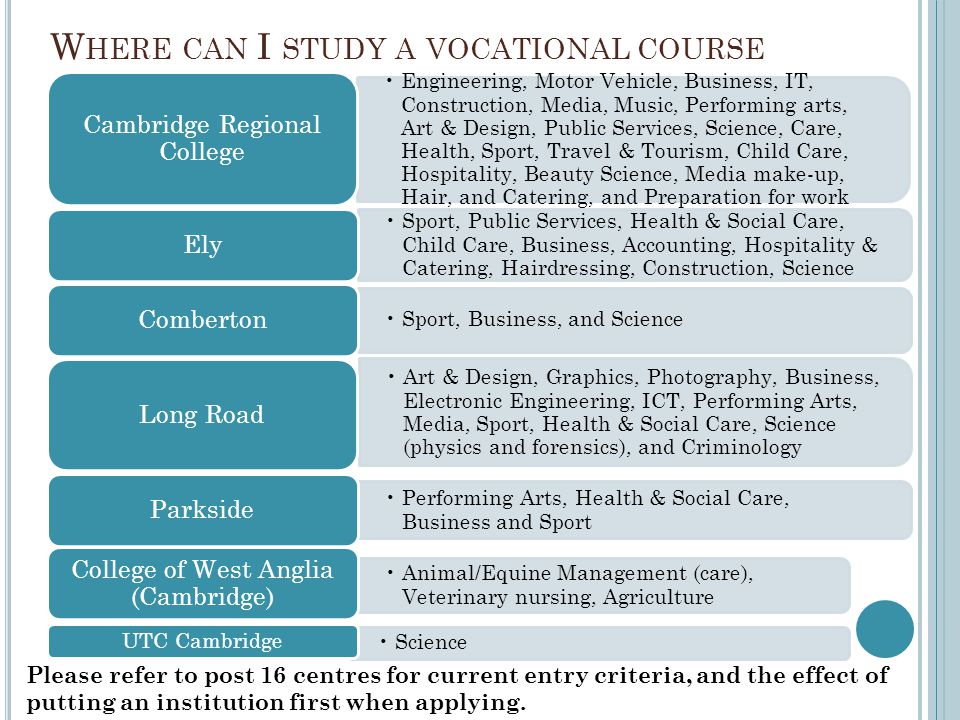 Where can I study a vocational course