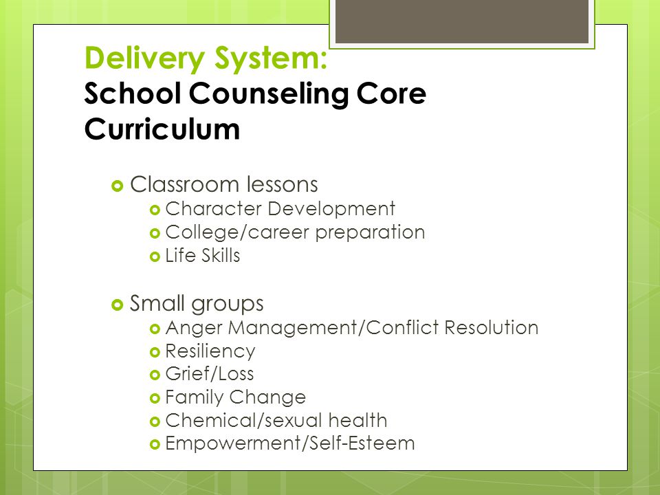 Delivery System: School Counseling Core Curriculum