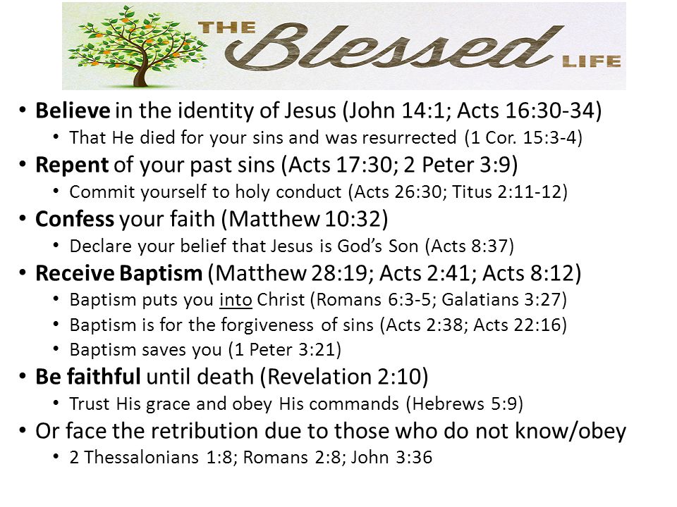 Believe in the identity of Jesus (John 14:1; Acts 16:30-34)
