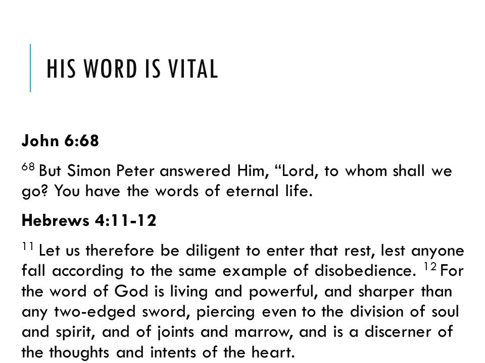 His word is vital John 6: But Simon Peter answered Him, Lord, to whom shall we go You have the words of eternal life.