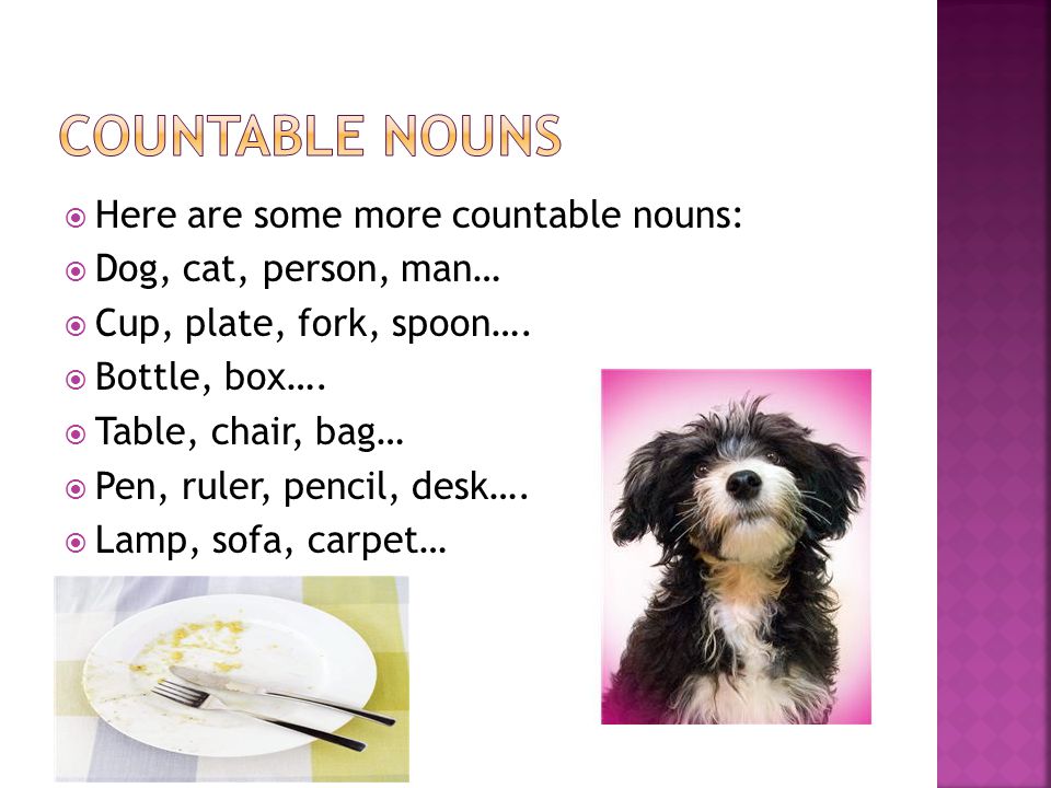 Countable nouns Here are some more countable nouns: