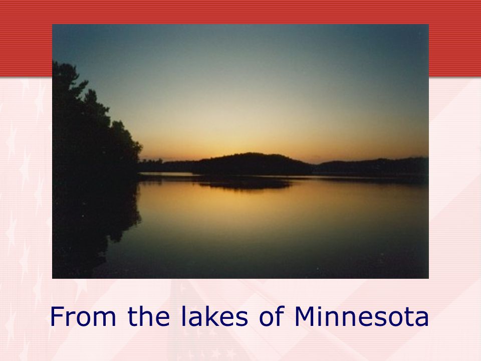 From the lakes of Minnesota