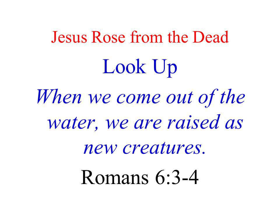 Jesus Rose from the Dead