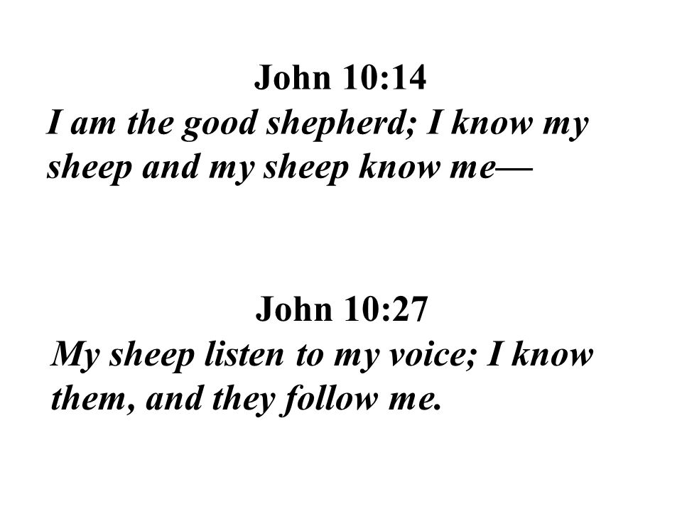 John 10:14 I am the good shepherd; I know my sheep and my sheep know me— John 10:27.