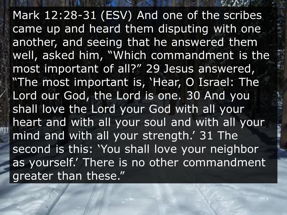 Mark 12:28-31 (ESV) And one of the scribes came up and heard them disputing with one another, and seeing that he answered them well, asked him, Which commandment is the most important of all 29 Jesus answered, The most important is, ‘Hear, O Israel: The Lord our God, the Lord is one.