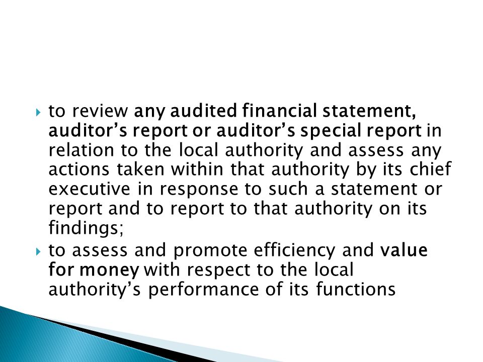 to review any audited financial statement, auditor’s report or auditor’s special report in relation to the local authority and assess any actions taken within that authority by its chief executive in response to such a statement or report and to report to that authority on its findings;