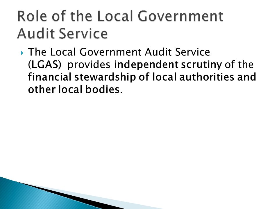 Role of the Local Government Audit Service