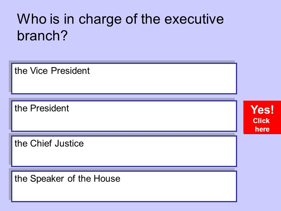 Who is in charge of the executive branch