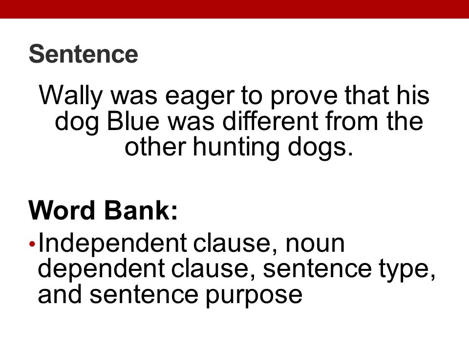 Sentence Wally was eager to prove that his dog Blue was different from the other hunting dogs. Word Bank: