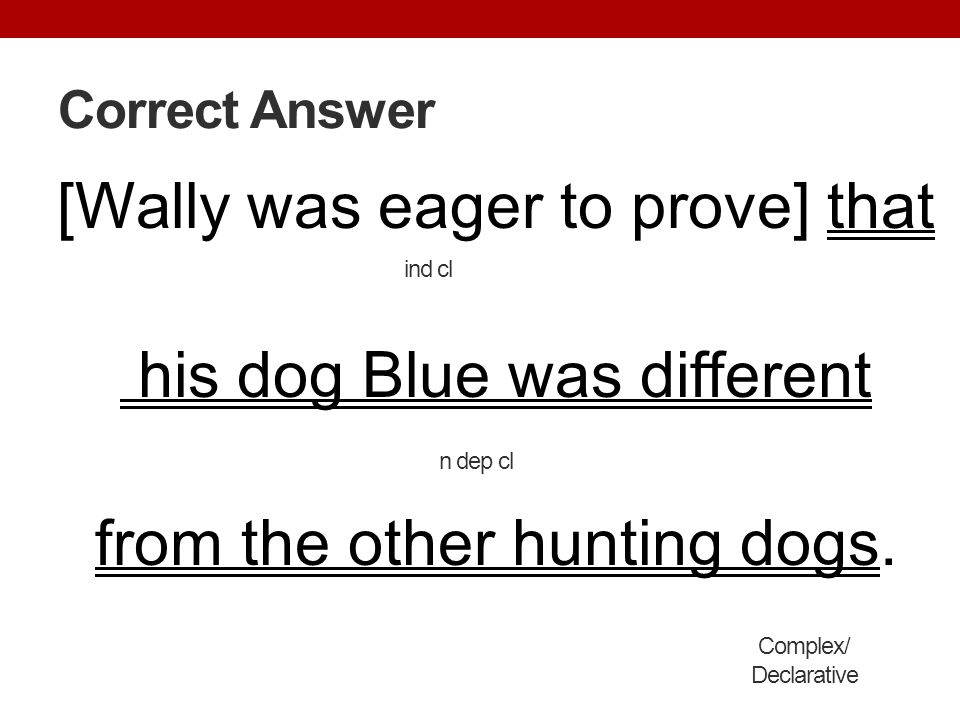 Correct Answer [Wally was eager to prove] that his dog Blue was different from the other hunting dogs.