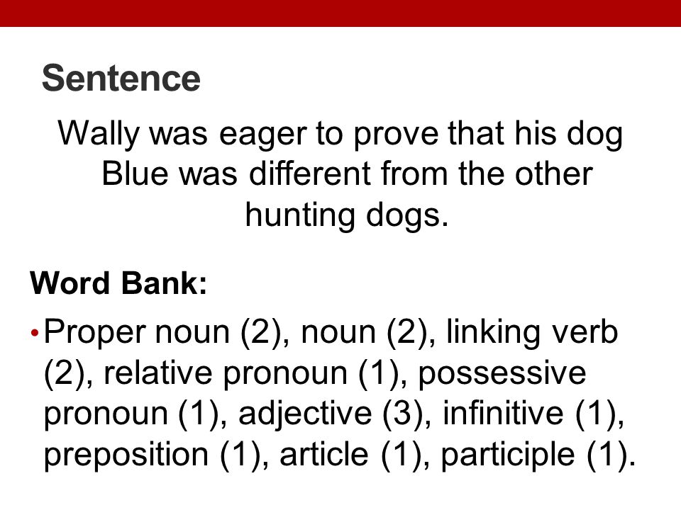 Sentence Wally was eager to prove that his dog Blue was different from the other hunting dogs. Word Bank: