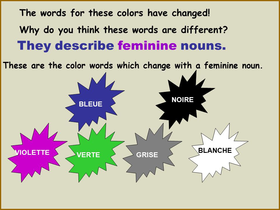 They describe feminine nouns.