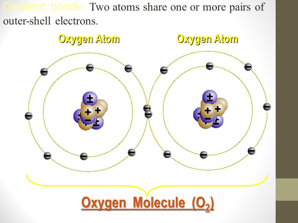 Covalent bonds- Two atoms share one or more pairs of outer-shell electrons.
