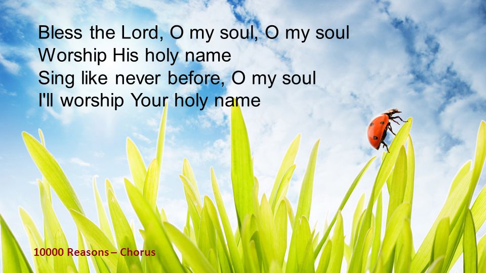 Bless the Lord, O my soul, O my soul Worship His holy name